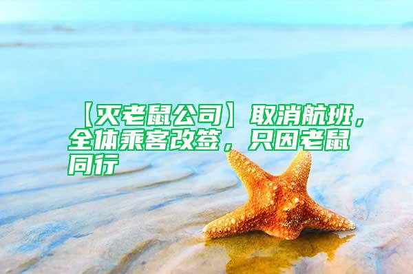 【滅老鼠公司】取消航班，全體乘客改簽，只因老鼠同行