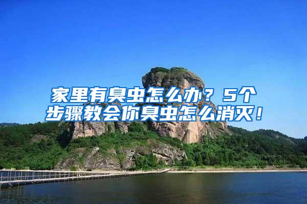 家里有臭蟲怎么辦？5個步驟教會你臭蟲怎么消滅！