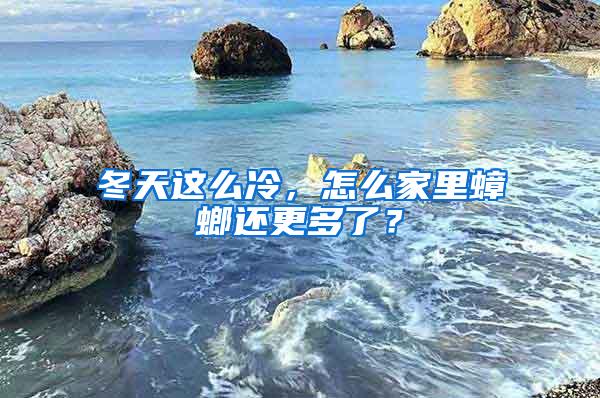 冬天這么冷，怎么家里蟑螂還更多了？