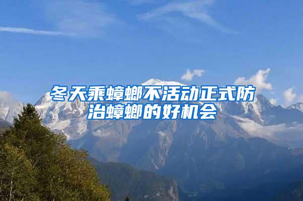 冬天乘蟑螂不活動(dòng)正式防治蟑螂的好機(jī)會(huì)