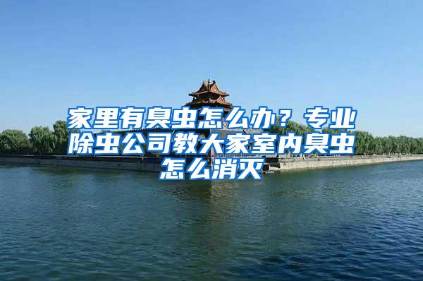 家里有臭蟲怎么辦？專業(yè)除蟲公司教大家室內臭蟲怎么消滅
