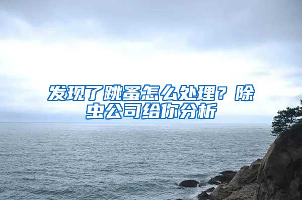 發現了跳蚤怎么處理？除蟲公司給你分析
