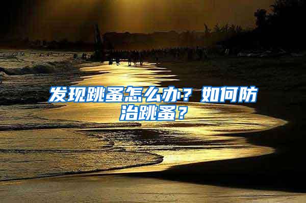 發(fā)現(xiàn)跳蚤怎么辦？如何防治跳蚤？