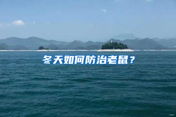 冬天如何防治老鼠？