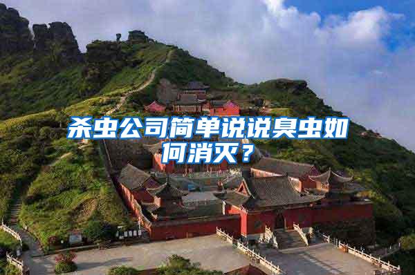 殺蟲公司簡單說說臭蟲如何消滅？