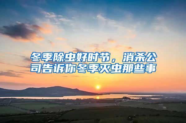 冬季除蟲(chóng)好時(shí)節(jié)，消殺公司告訴你冬季滅蟲(chóng)那些事