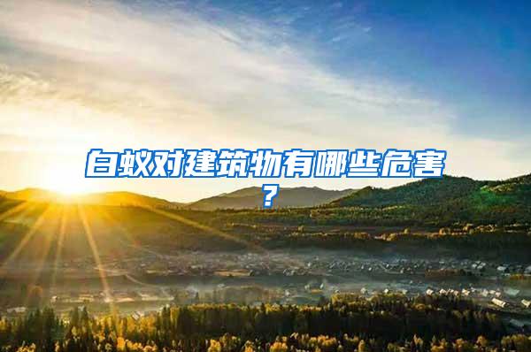白蟻對(duì)建筑物有哪些危害？