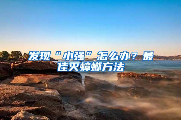 發現“小強”怎么辦？最佳滅蟑螂方法