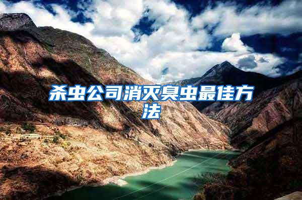 殺蟲(chóng)公司消滅臭蟲(chóng)最佳方法