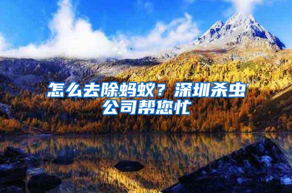 怎么去除螞蟻？深圳殺蟲公司幫您忙