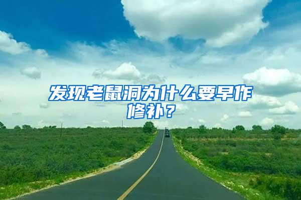 發現老鼠洞為什么要早作修補？