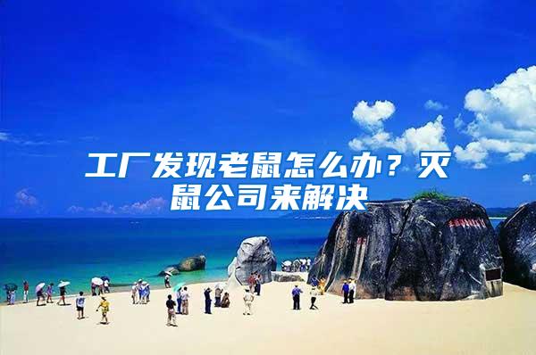 工廠發現老鼠怎么辦？滅鼠公司來解決