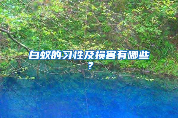 白蟻的習(xí)性及損害有哪些？
