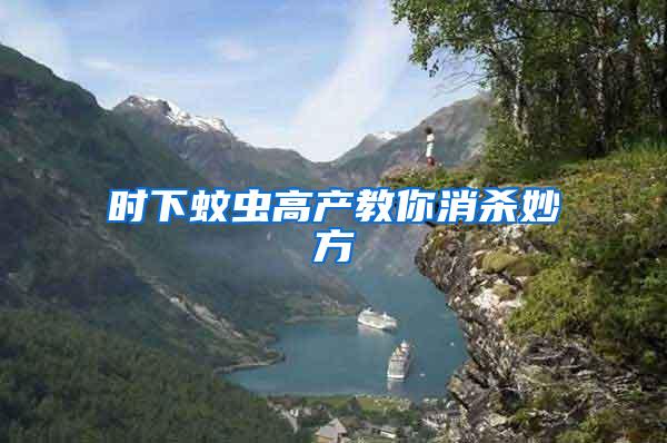 時(shí)下蚊蟲高產(chǎn)教你消殺妙方