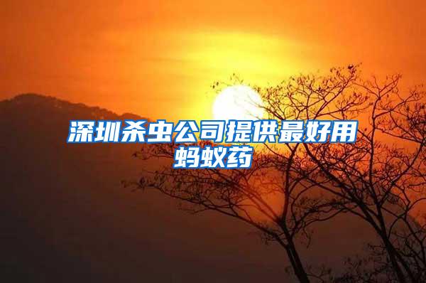 深圳殺蟲(chóng)公司提供最好用螞蟻藥
