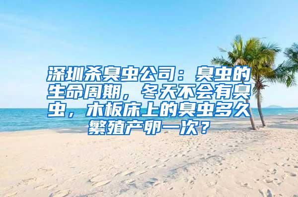 深圳殺臭蟲公司：臭蟲的生命周期，冬天不會有臭蟲，木板床上的臭蟲多久繁殖產卵一次？