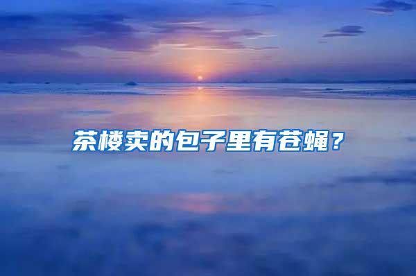 茶樓賣的包子里有蒼蠅？
