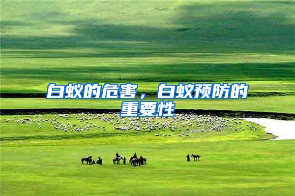 白蟻的危害，白蟻預防的重要性