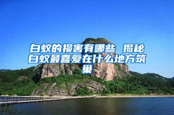 白蟻的損害有哪些 揭秘白蟻?zhàn)钕矏墼谑裁吹胤街?/></p>
             <p style=