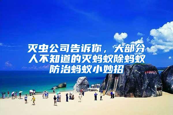 滅蟲公司告訴你，大部分人不知道的滅螞蟻除螞蟻防治螞蟻小妙招