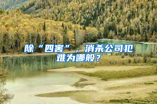 除“四害”，消殺公司犯難為哪般？