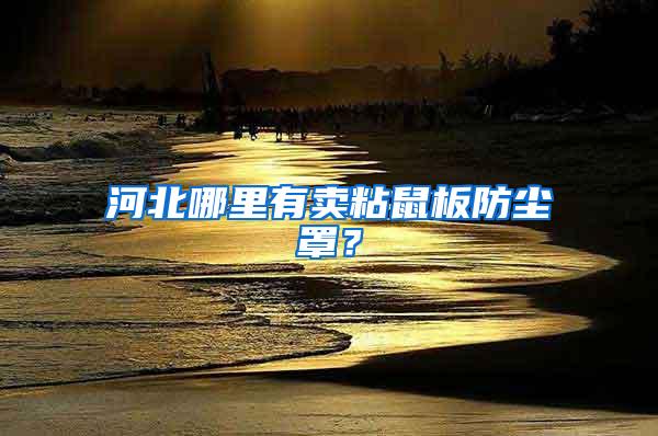 河北哪里有賣粘鼠板防塵罩？