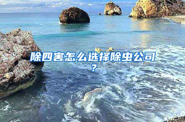 除四害怎么選擇除蟲公司？
