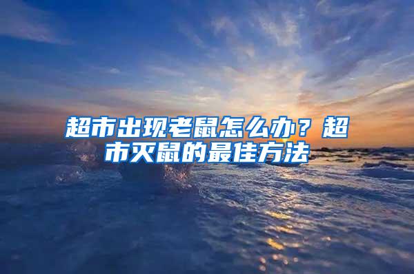 超市出現老鼠怎么辦？超市滅鼠的最佳方法