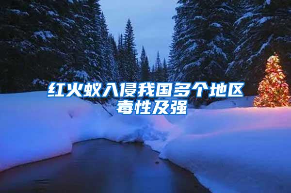 紅火蟻入侵我國多個(gè)地區(qū) 毒性及強(qiáng)