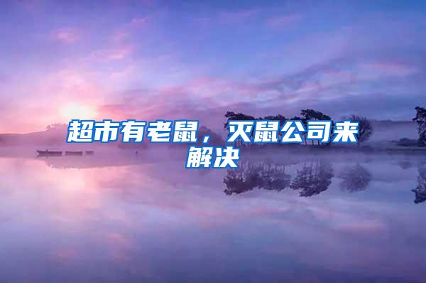 超市有老鼠，滅鼠公司來解決