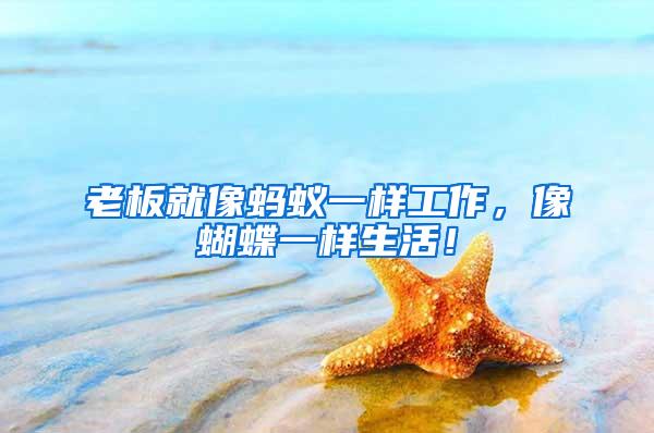 老板就像螞蟻一樣工作，像蝴蝶一樣生活！