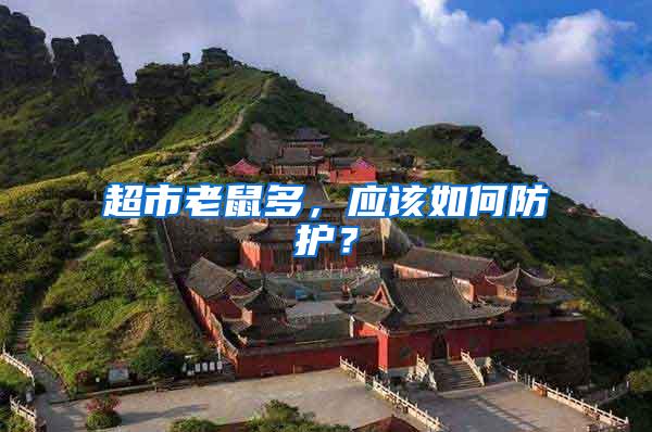 超市老鼠多，應(yīng)該如何防護(hù)？