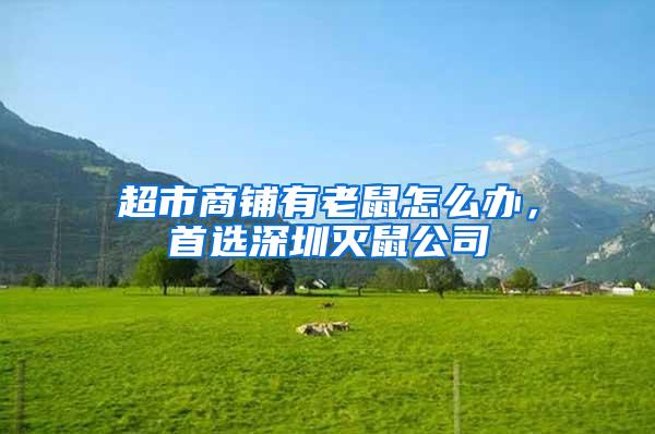 超市商鋪有老鼠怎么辦，首選深圳滅鼠公司