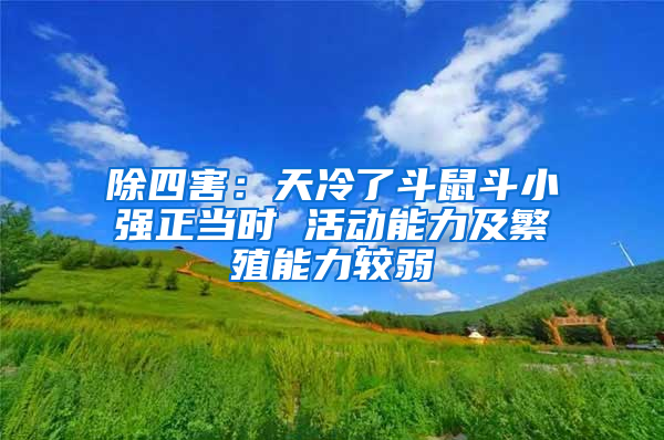 除四害：天冷了斗鼠斗小強(qiáng)正當(dāng)時(shí) 活動(dòng)能力及繁殖能力較弱