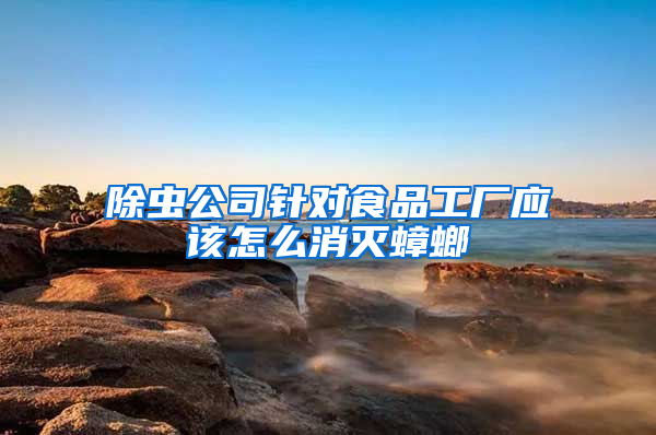 除蟲(chóng)公司針對(duì)食品工廠(chǎng)應(yīng)該怎么消滅蟑螂