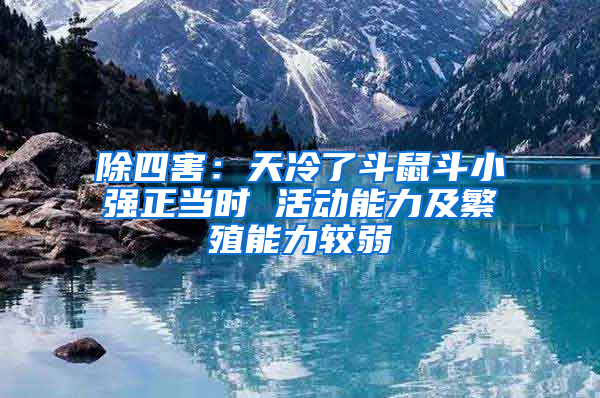 除四害：天冷了斗鼠斗小強(qiáng)正當(dāng)時(shí) 活動(dòng)能力及繁殖能力較弱