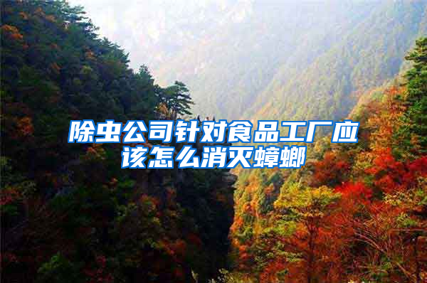 除蟲(chóng)公司針對(duì)食品工廠應(yīng)該怎么消滅蟑螂
