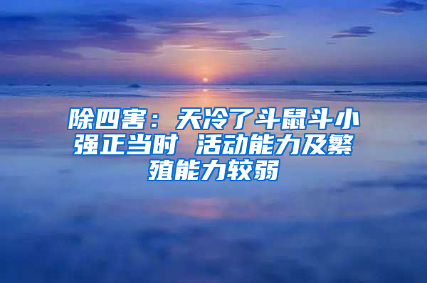 除四害：天冷了斗鼠斗小強正當(dāng)時 活動能力及繁殖能力較弱
