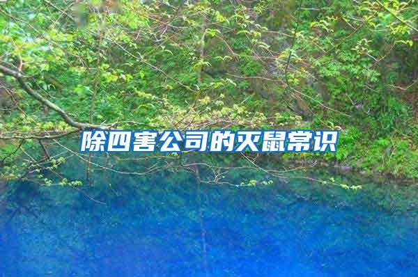 除四害公司的滅鼠常識(shí)