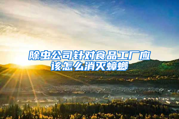 除蟲公司針對食品工廠應(yīng)該怎么消滅蟑螂