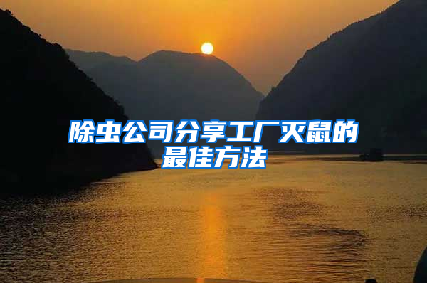 除蟲(chóng)公司分享工廠滅鼠的最佳方法