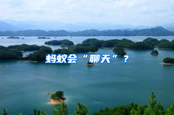螞蟻會“聊天”？