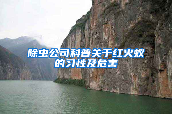 除蟲公司科普關(guān)于紅火蟻的習性及危害