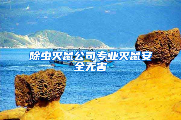 除蟲滅鼠公司專業(yè)滅鼠安全無(wú)害