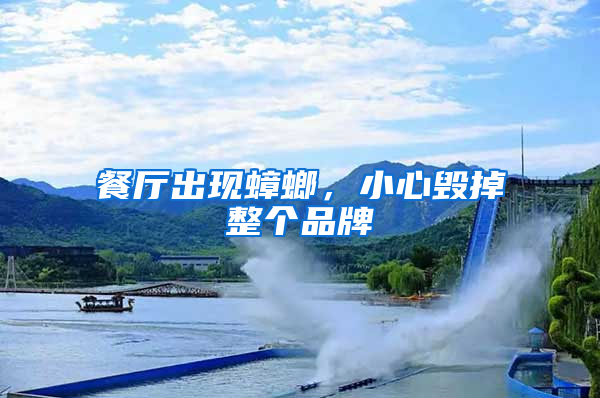 餐廳出現蟑螂，小心毀掉整個品牌