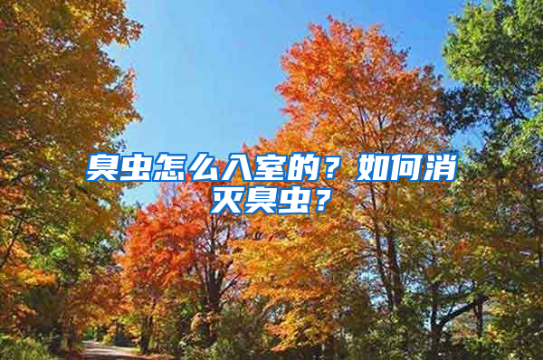 臭蟲怎么入室的？如何消滅臭蟲？