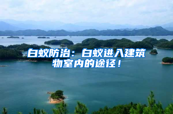 白蟻防治：白蟻進入建筑物室內的途徑！