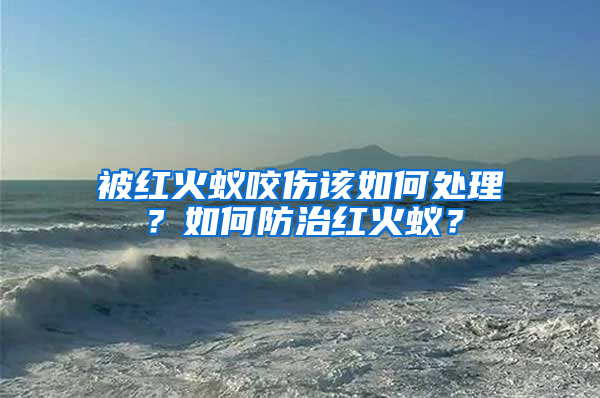 被紅火蟻咬傷該如何處理？如何防治紅火蟻？