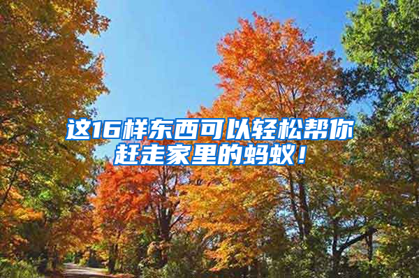 這16樣東西可以輕松幫你趕走家里的螞蟻！