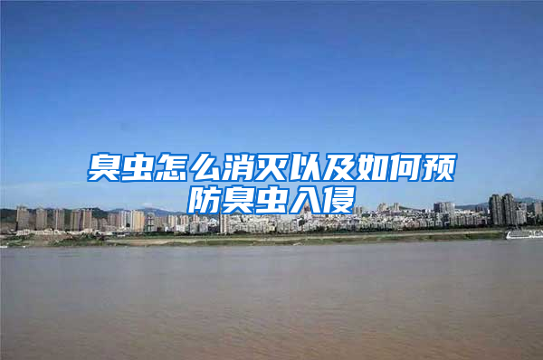 臭蟲怎么消滅以及如何預(yù)防臭蟲入侵